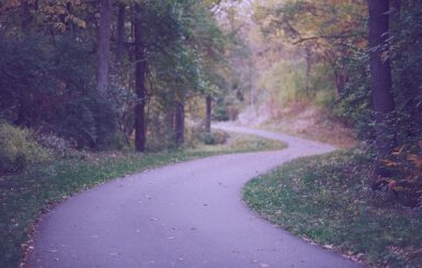 Svetainių kūrimas ZdanMedia - Planas Pro